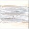 Neutral Texture by Chris Paschke 14" x 14" Canvas Wall Art (Set of 2)
